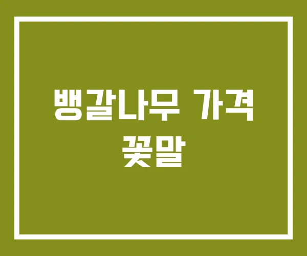 뱅갈나무 가격 꽃말