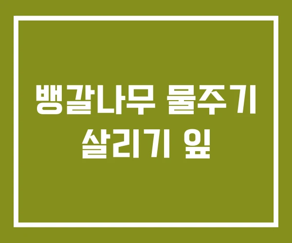 뱅갈나무 물주기 살리기 잎