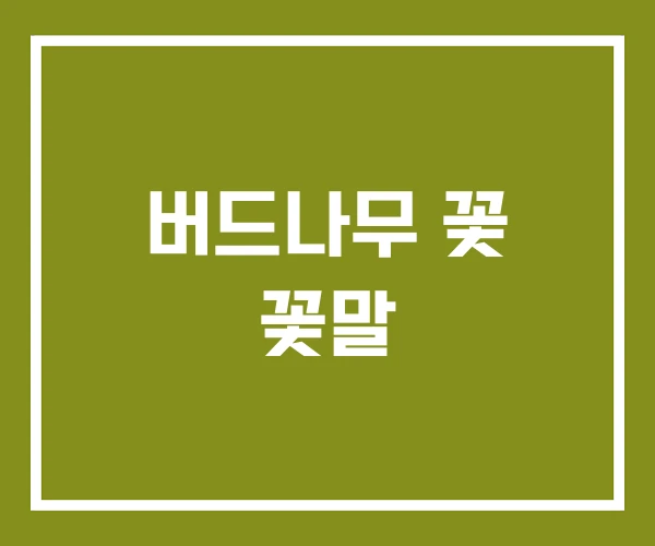 버드나무 꽃 꽃말