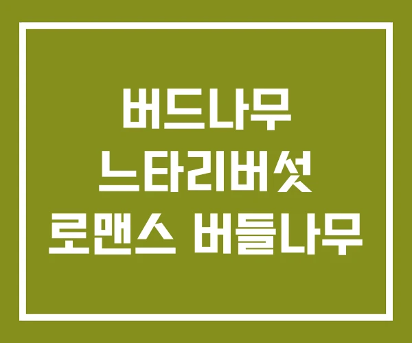 버드나무 느타리버섯 로맨스 버들나무