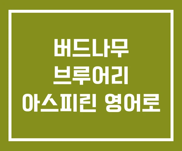 버드나무 브루어리 아스피린 영어로