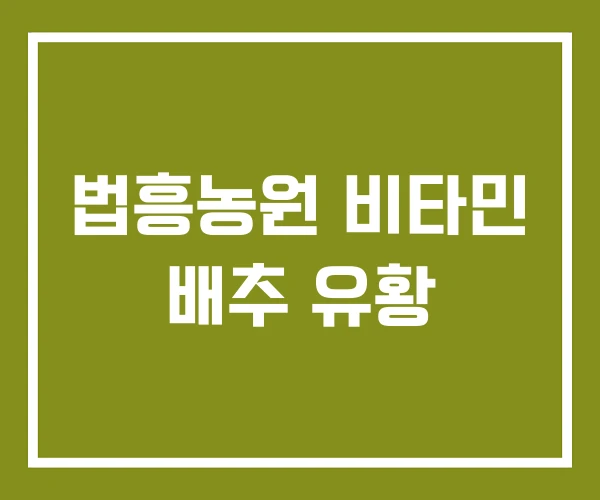 법흥농원 비타민 배추 유황