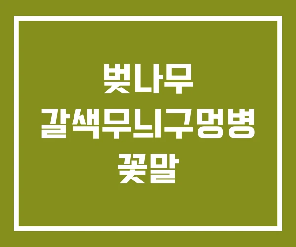 벚나무 갈색무늬구멍병 꽃말