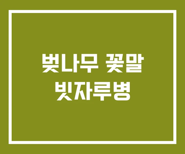 벚나무 꽃말 빗자루병