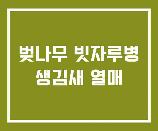 벚나무 빗자루병 생김새 열매
