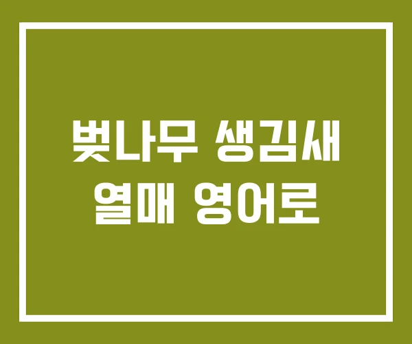 벚나무 생김새 열매 영어로