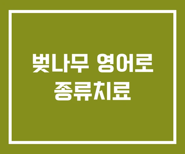 벚나무 영어로 종류치료