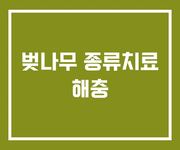 벚나무 종류치료 해충