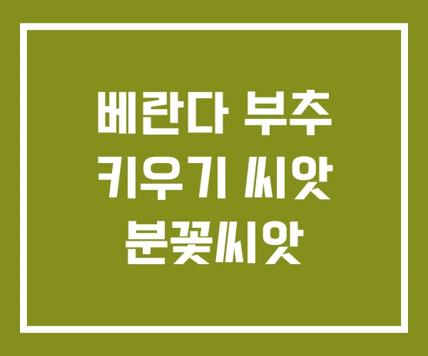 베란다 부추 키우기 씨앗 분꽃씨앗