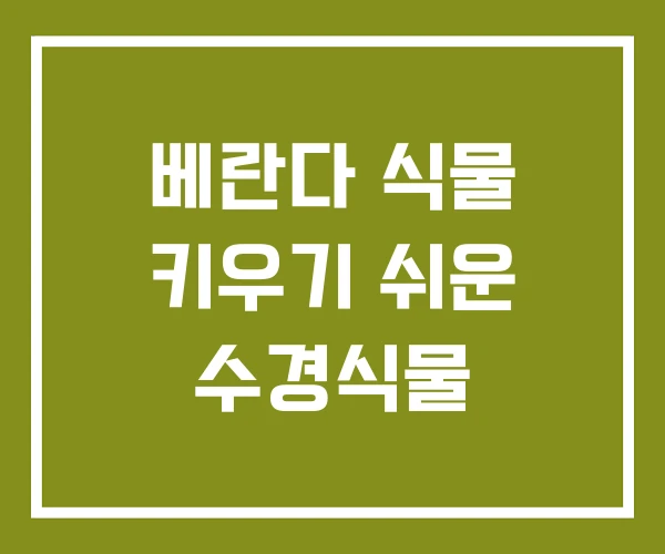 베란다 식물 키우기 쉬운 수경식물