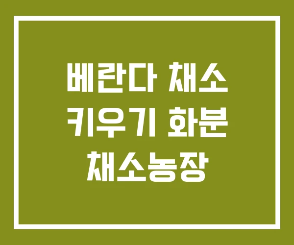 베란다 채소 키우기 화분 채소농장