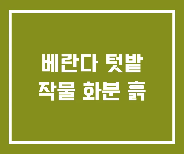 베란다 텃밭 작물 화분 흙