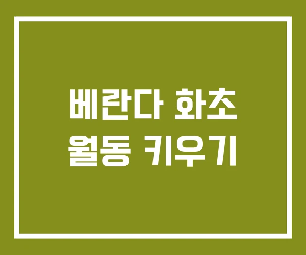 베란다 화초 월동 키우기