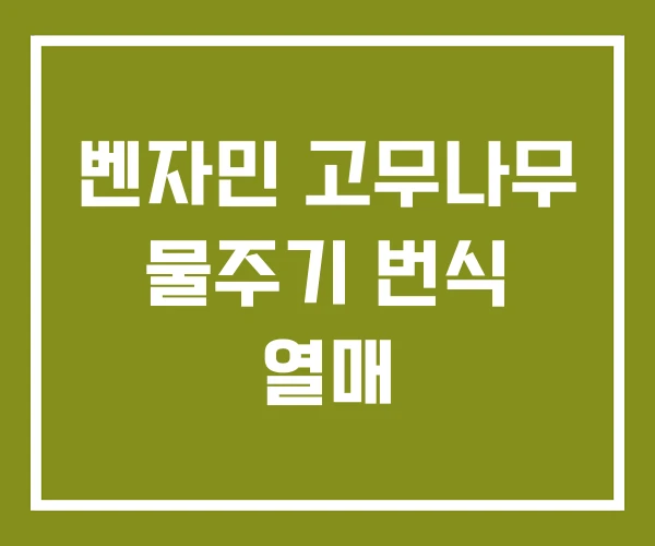 벤자민 고무나무 물주기 번식 열매