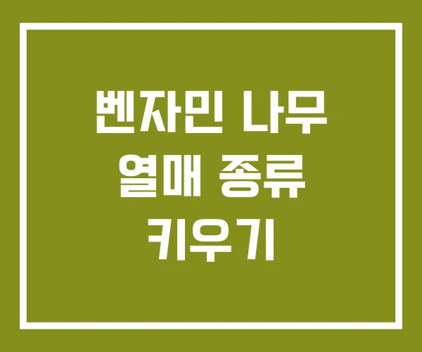 벤자민 나무 열매 종류 키우기