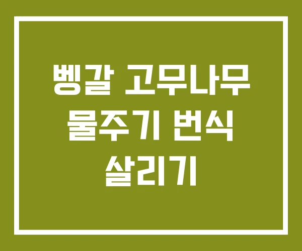 벵갈 고무나무 물주기 번식 살리기