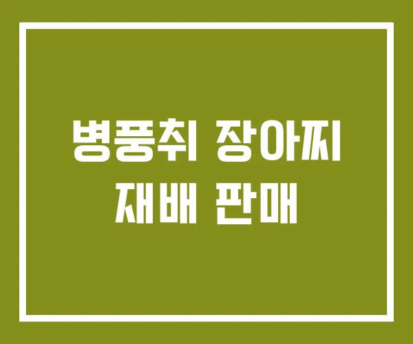 병풍취 장아찌 재배 판매