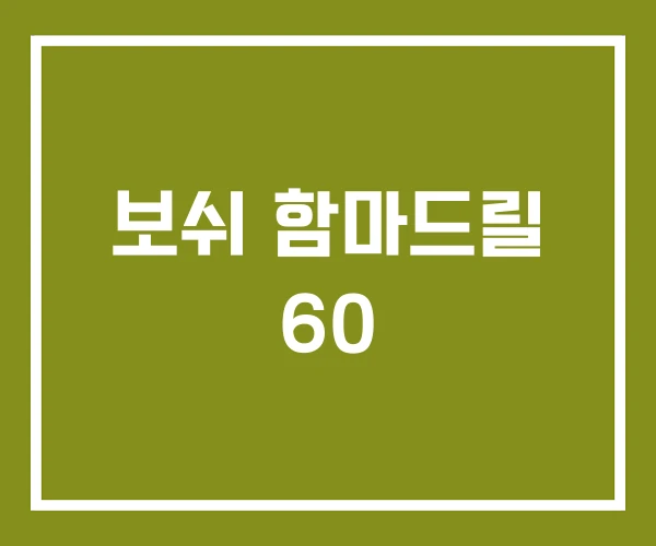 보쉬 함마드릴 60