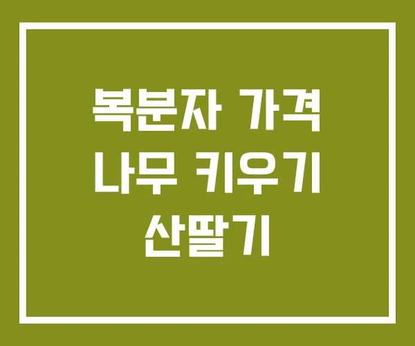 복분자 가격 나무 키우기 산딸기