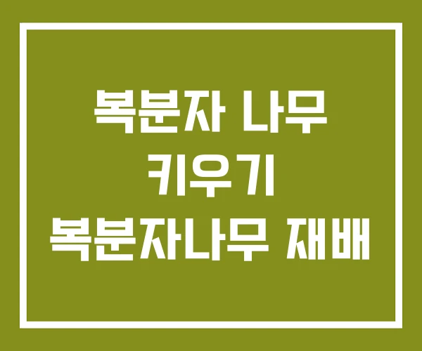 복분자 나무 키우기 복분자나무 재배