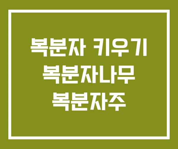 복분자 키우기 복분자나무 복분자주