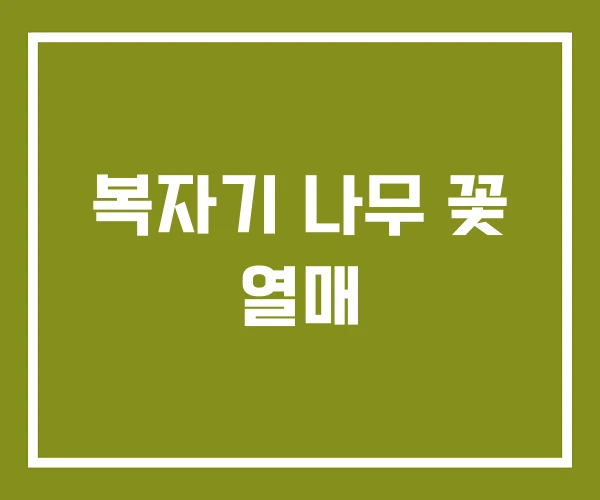 복자기 나무 꽃 열매