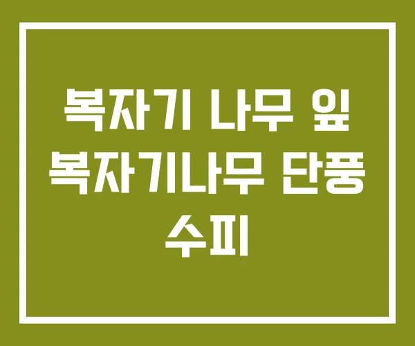 복자기 나무 잎 복자기나무 단풍 수피
