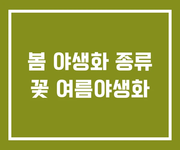 봄 야생화 종류 꽃 여름야생화