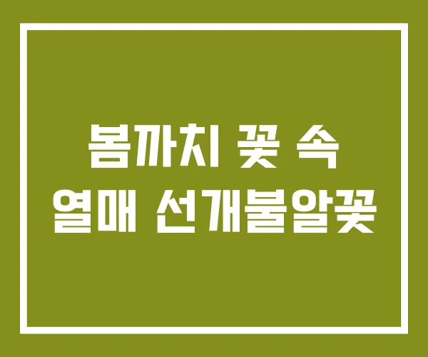 봄까치 꽃 속 열매 선개불알꽃