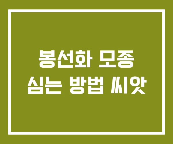 봉선화 모종 심는 방법 씨앗