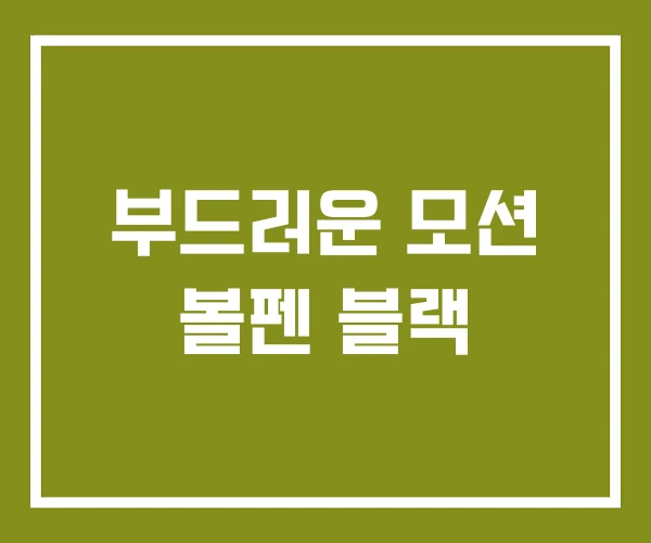 부드러운 모션 볼펜 블랙