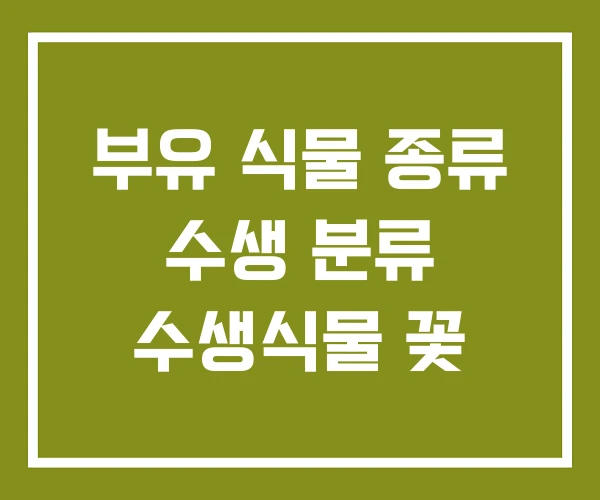 부유 식물 종류 수생 분류 수생식물 꽃