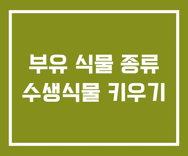 부유 식물 종류 수생식물 키우기