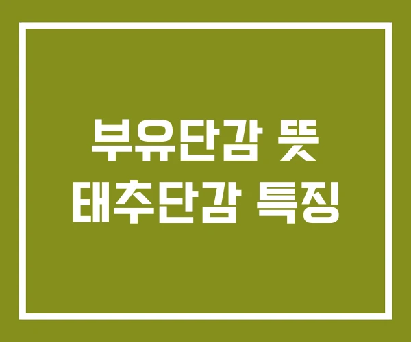 부유단감 뜻 태추단감 특징