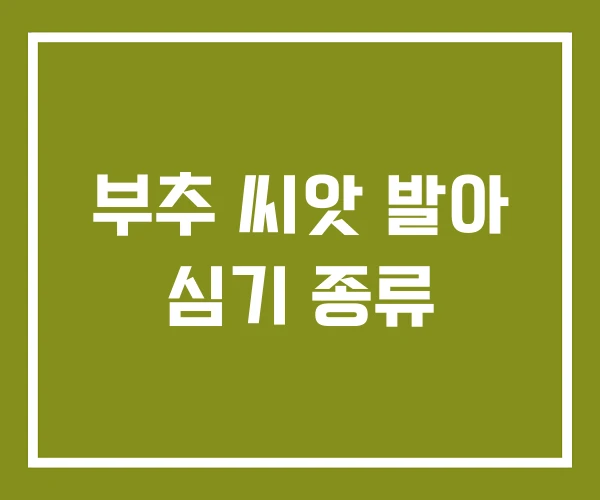 부추 씨앗 발아 심기 종류