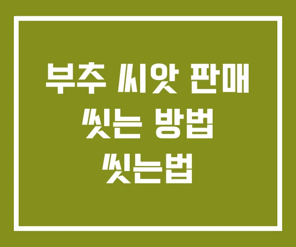 부추 씨앗 판매 씻는 방법 씻는법