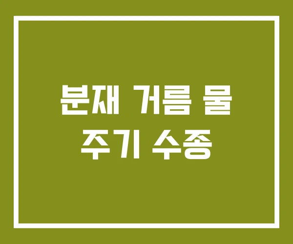 분재 거름 물 주기 수종