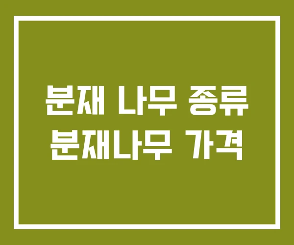 분재 나무 종류 분재나무 가격