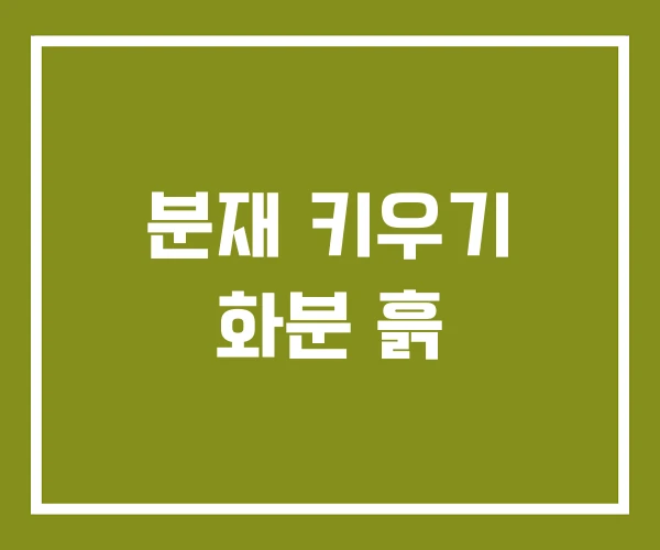 분재 키우기 화분 흙
