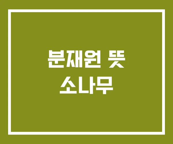 분재원 뜻 소나무