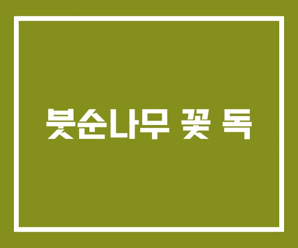 붓순나무 꽃 독