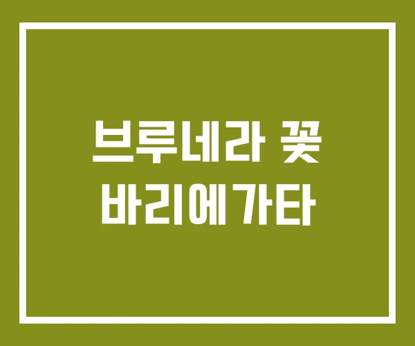 브루네라 꽃 바리에가타