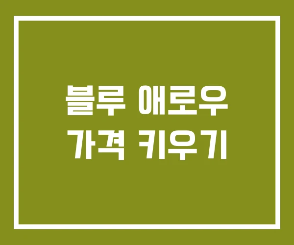 블루 애로우 가격 키우기