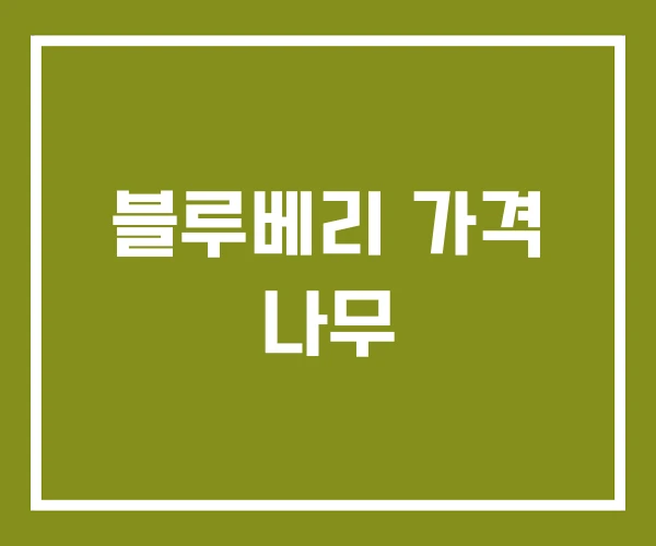 블루베리 가격 나무