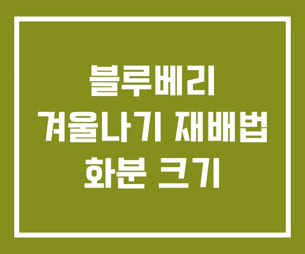 블루베리 겨울나기 재배법 화분 크기