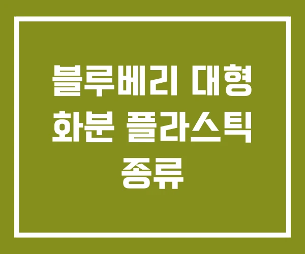 블루베리 대형 화분 플라스틱 종류