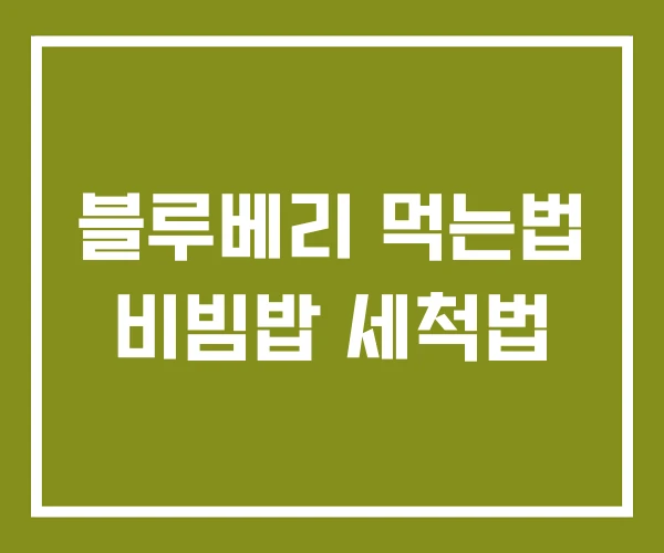 블루베리 먹는법 비빔밥 세척법