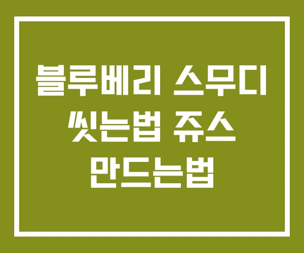 블루베리 스무디 씻는법 쥬스 만드는법