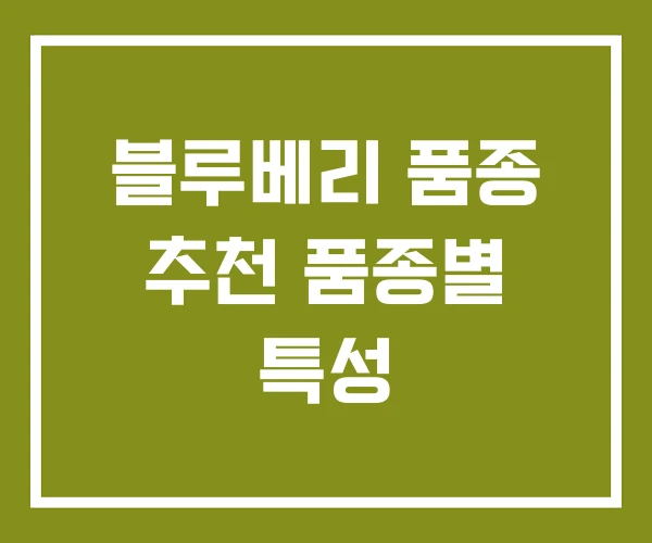 블루베리 품종 추천 품종별 특성