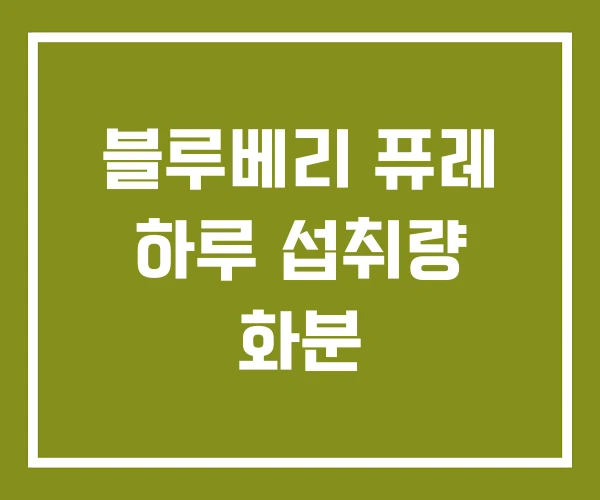 블루베리 퓨레 하루 섭취량 화분